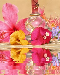 SENTEURS ET ESSENCES