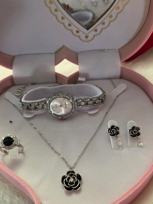 COFFRET MONTRE ARGENT ET NOIR